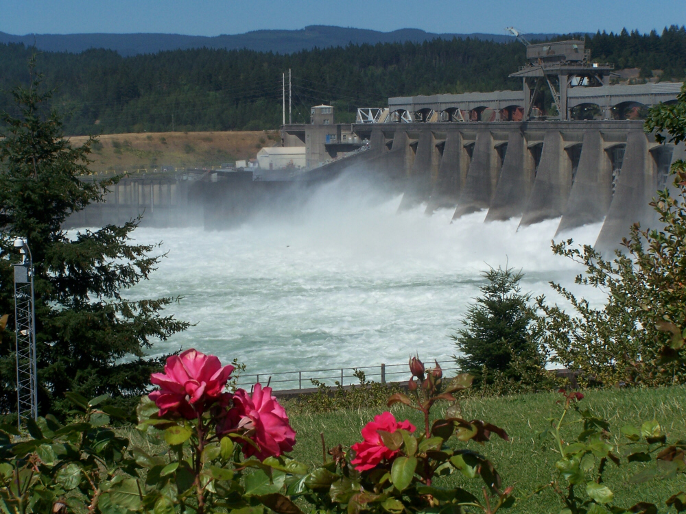 Bonneville dam 3