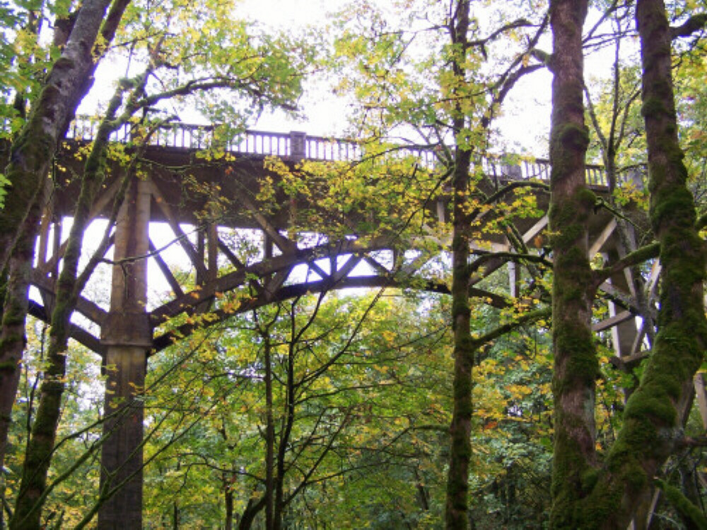 Latourell bridge 2