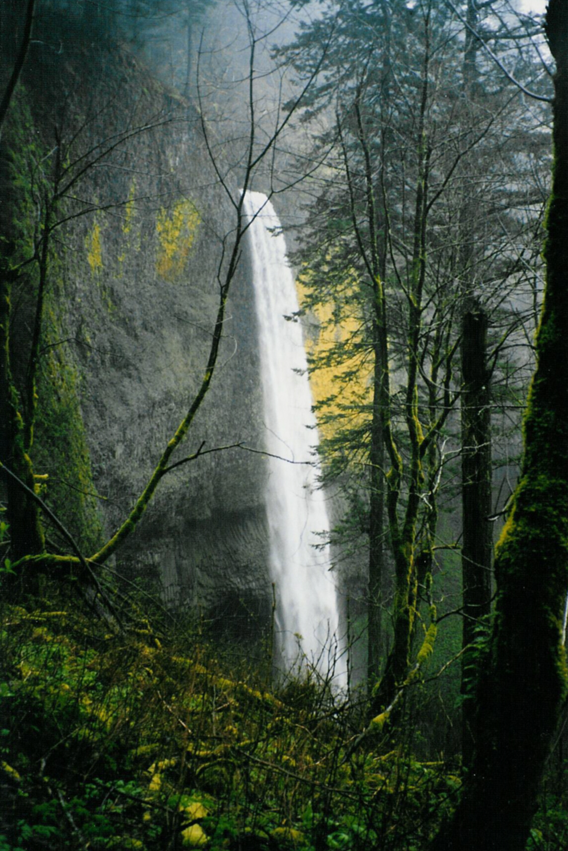 Latourellfalls